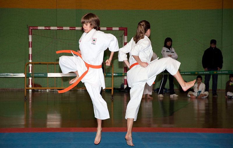 Resultados del campeonato Navarro de Katas alev&iacute;n, Infantil y Juvenil.